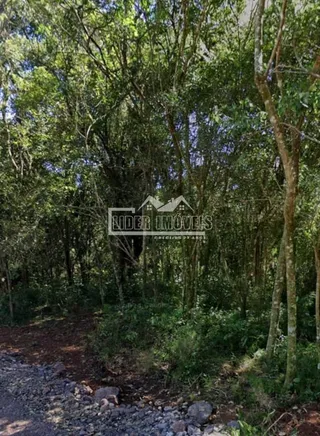 Terreno, foto 6