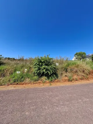 Terreno, foto 1