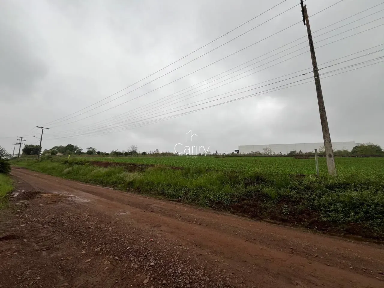 Terreno, foto 1