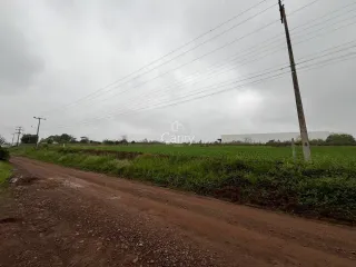Terreno, foto 1
