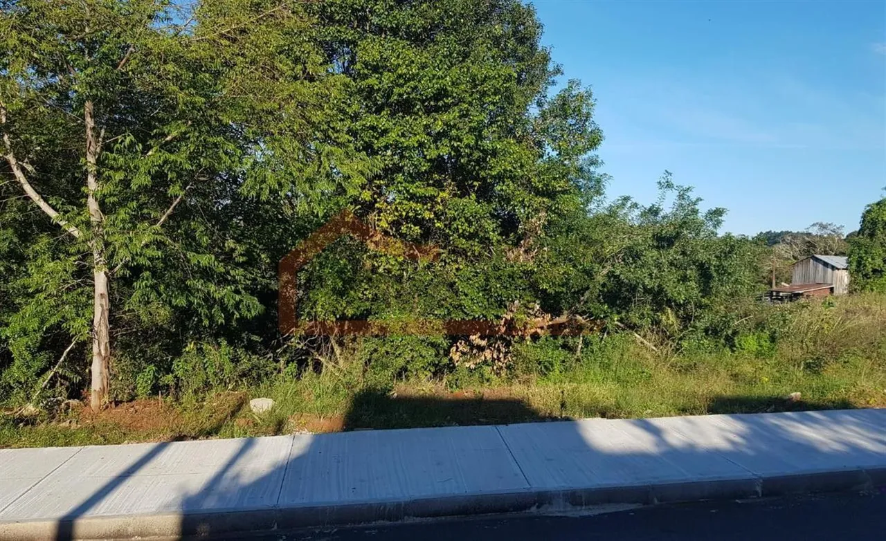 Terreno, foto 1