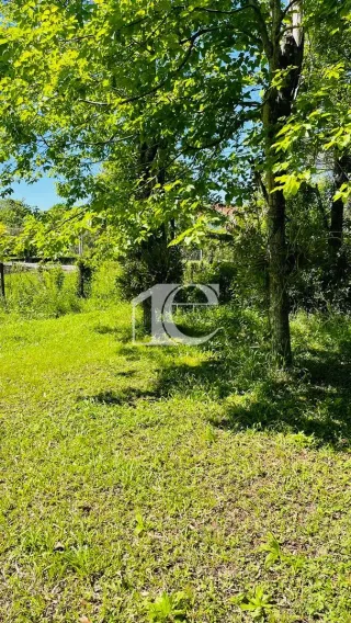 Terreno, foto 3