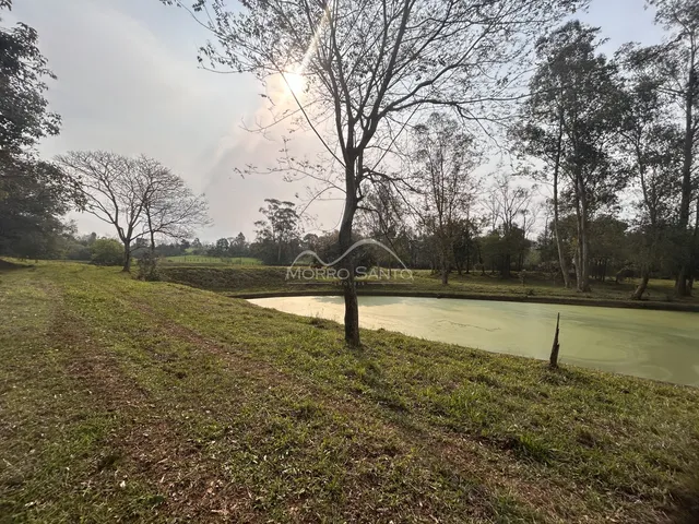 Vista de uma paisagem rural com vegetação e um corpo d'água.