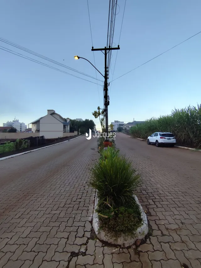 Vista da rua em Lajeado, Brasil com vegetação e poste de luz.