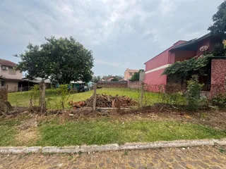 Vista externa de um terreno gramado com galhos secos no meio.