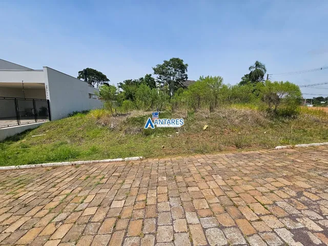 Terreno, foto 2