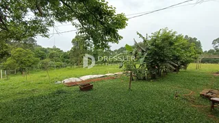 Área rural com 4 dormitórios, foto 21