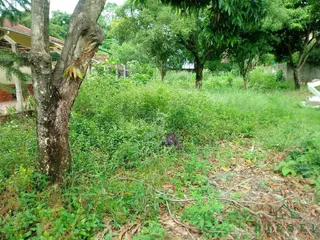 Terreno, foto 4