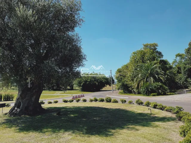 Terreno, foto 3