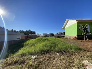 Terreno, foto 3