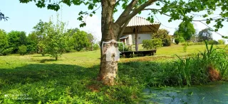 Área rural com 3 dormitórios, foto 5