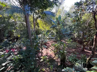 Casa com 4 dormitórios, foto 35