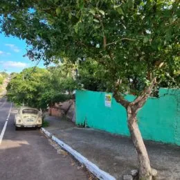 Terreno, foto 5