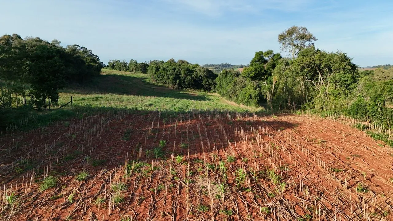 Área rural, foto 1