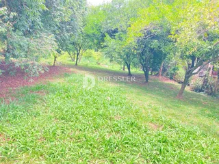 Terreno, foto 6