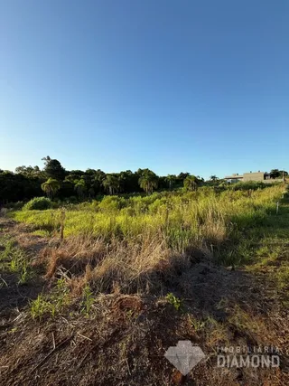 Terreno, foto 8
