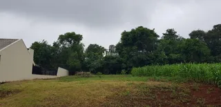 Campo gramado com árvores ao fundo.