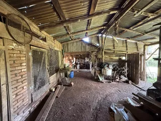 Interior de um espaço rústico com estrutura de madeira e telhado de zinco.