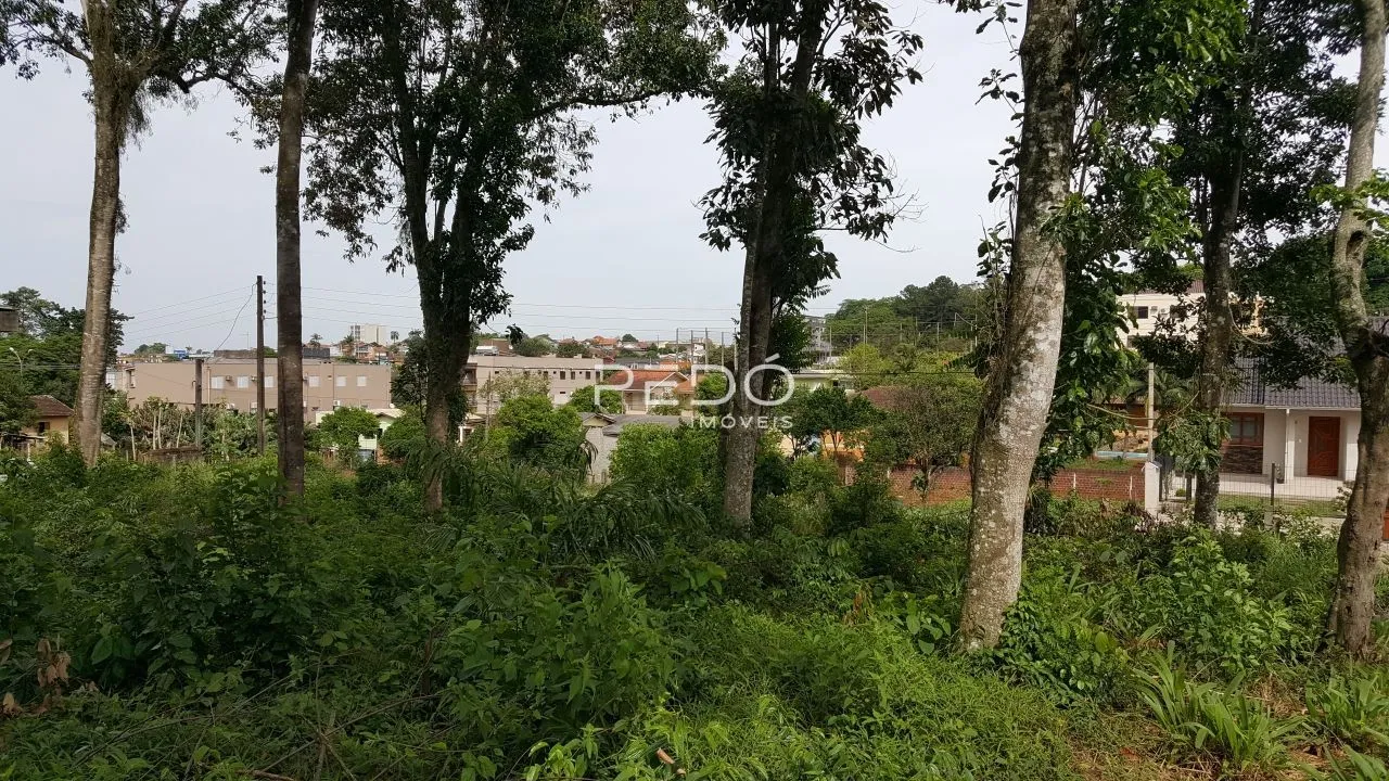 Terreno, foto 1