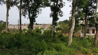 Vista externa de vegetação densa com árvores no primeiro plano e casas ao fundo.
