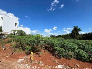 Terreno, foto 5