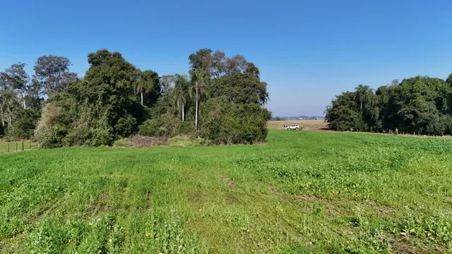 Área rural, foto 5