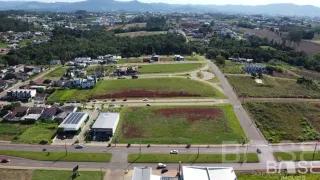 Terreno, foto 8