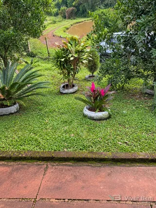 Área rural com 3 dormitórios, foto 5