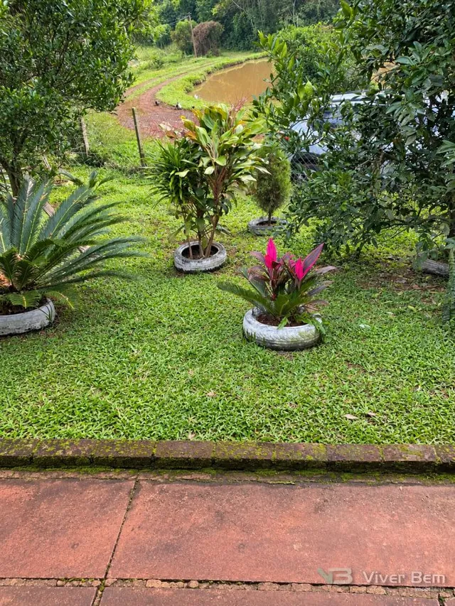 Área rural com 3 dormitórios, foto 5