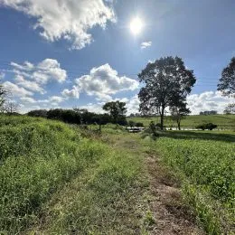 Área rural, foto 5
