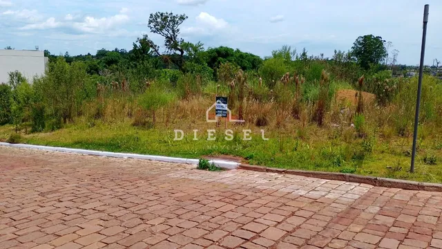 Terreno, foto 2