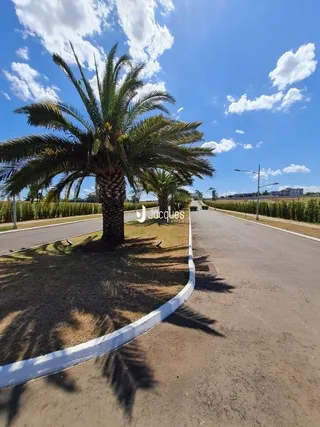 Terreno, foto 3