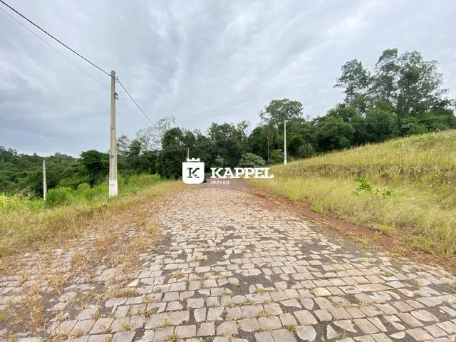 Vista externa de uma estrada de paralelepípedos em uma área com vegetação alta.