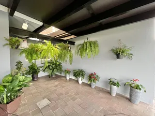 Casa com 3 dormitórios, foto 34