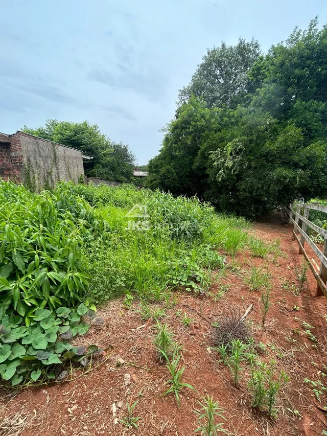 Terreno, foto 2
