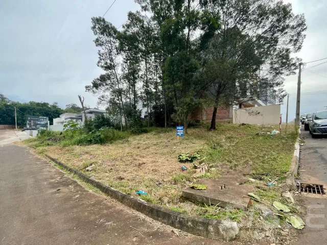 Terreno, foto 2