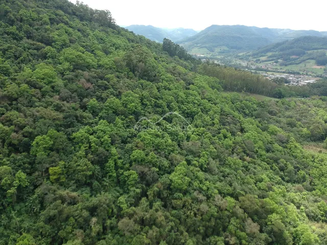 Área rural, foto 4