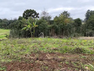 Área rural com 3 dormitórios, foto 7