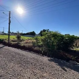 Vista externa mostrando vegetação e área de terra.