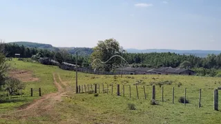 Paisagem de campo com cercas de madeira e vegetação ao fundo.