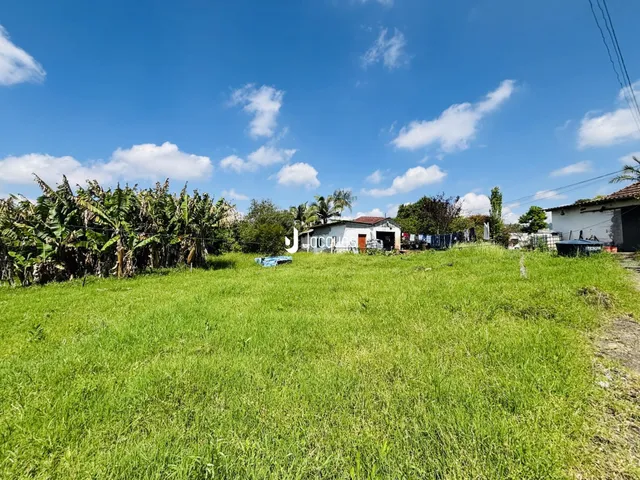 Área rural com 2 dormitórios, foto 3