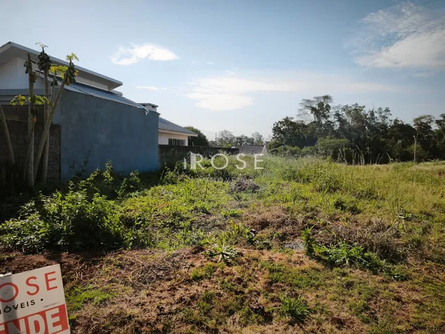 Terreno, foto 2