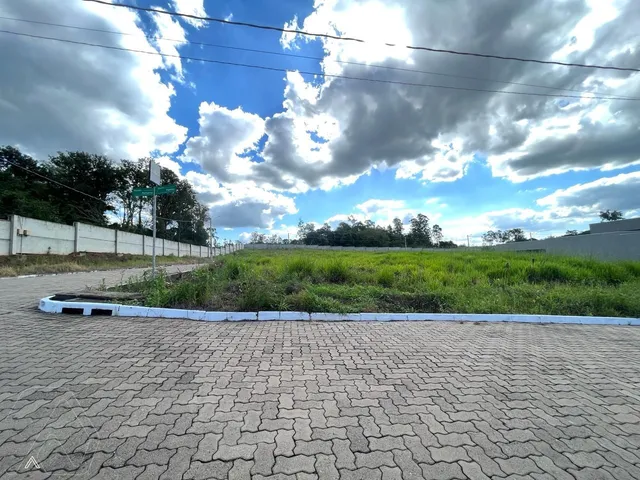 Terreno, foto 2