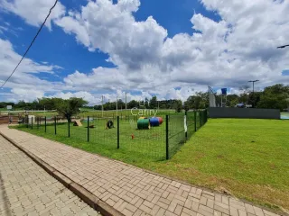 Terreno, foto 5