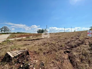 Campo de terra seco com vegetação rasteira e árvores ao fundo.