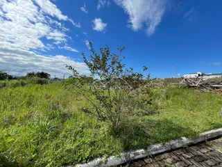 Vista externa de um terreno com vegetação alta sob um céu azul claro.