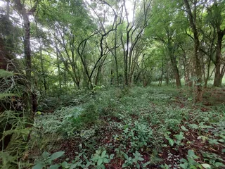Área rural, foto 8