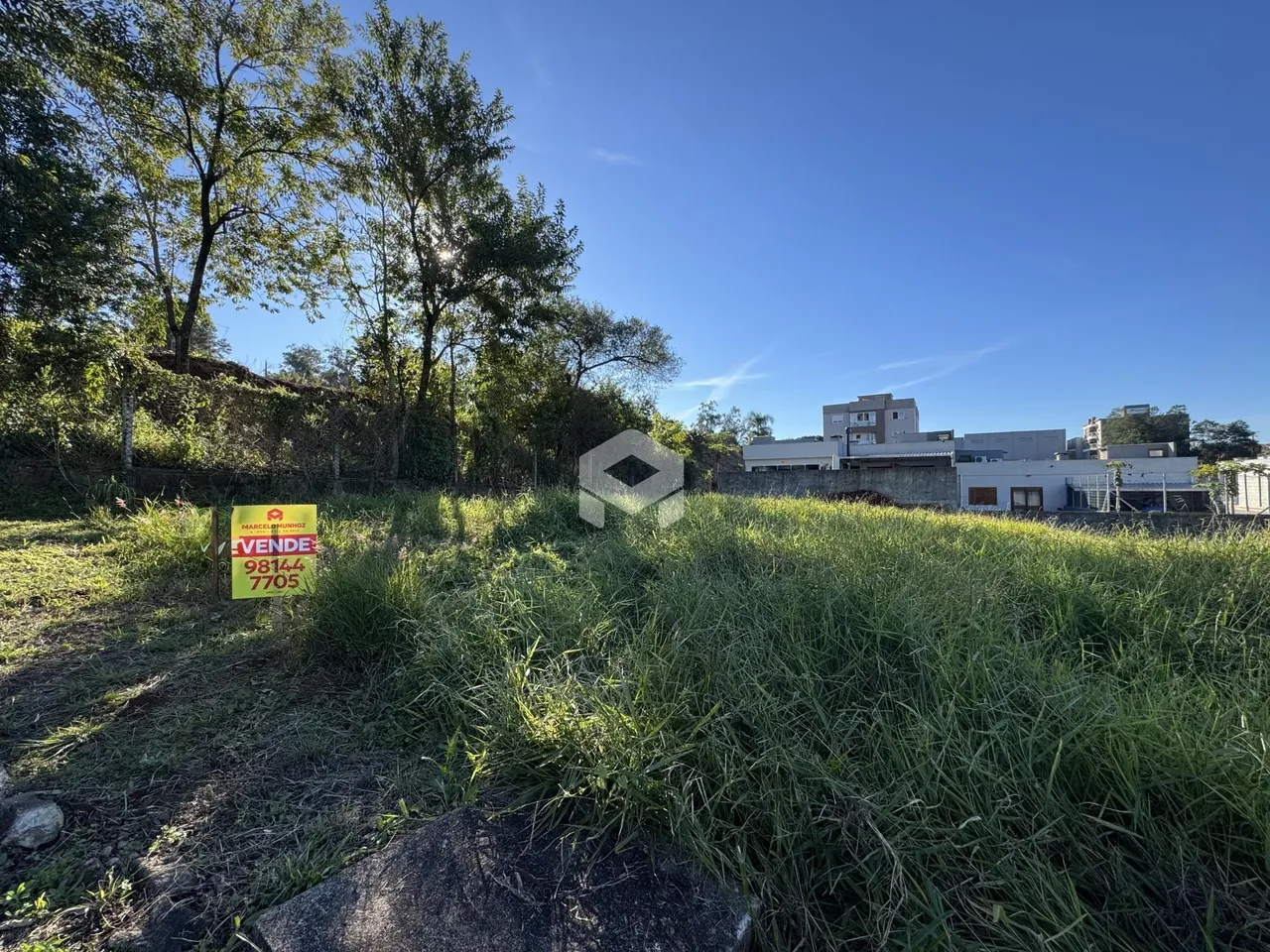 Vista externa de uma propriedade com vegetação alta e edifícios ao fundo.