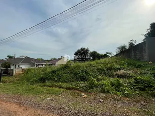 Vista externa de uma propriedade com vegetação densa e muro alto.