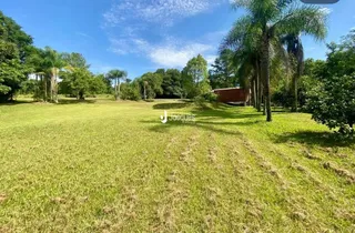 Vista aérea de um campo gramado com árvores ao fundo.